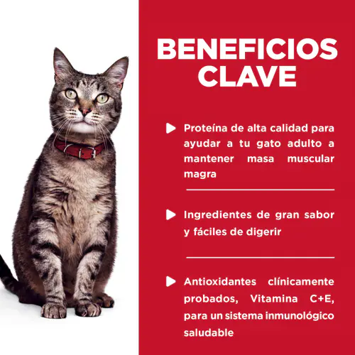 Alimento Húmedo Hills Pouch para Gato Adulto Sabor Atún - 12 Pack Alimento Húmedo Hills Pouch para Gato Adulto Sabor Atún - 12 Pack